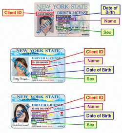 Junior License